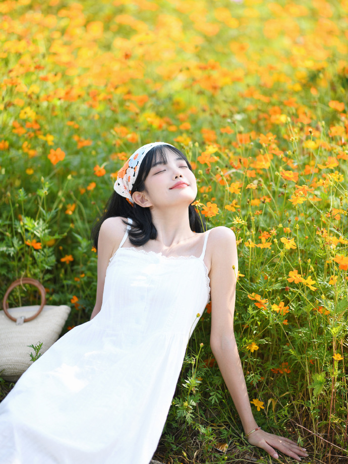 山河故人