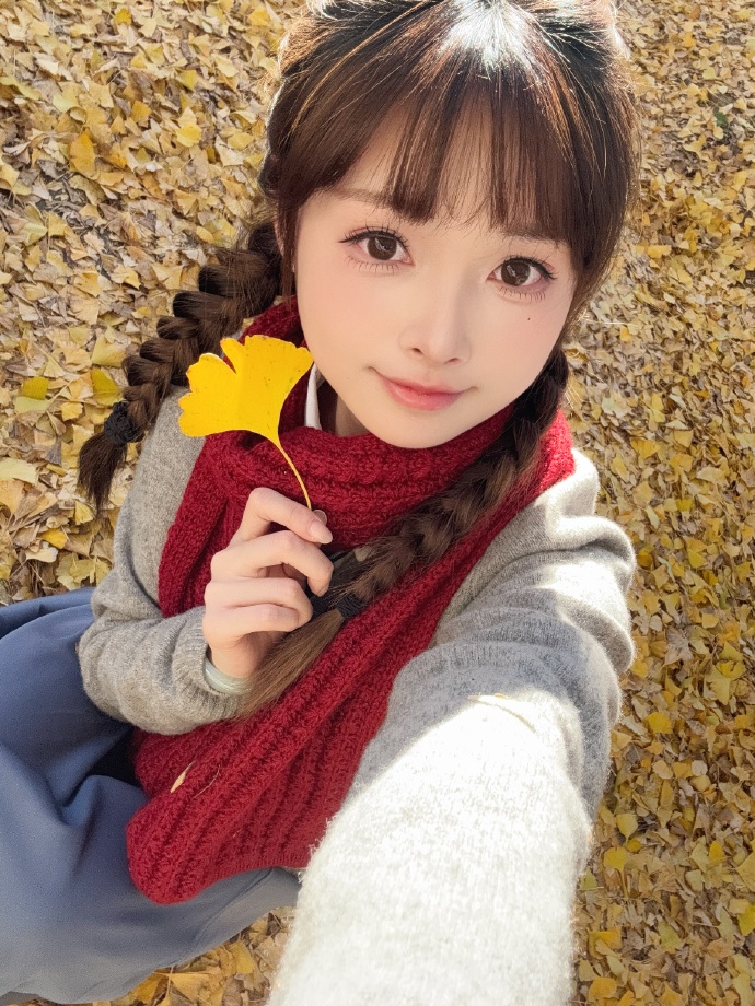 钢琴家 封面